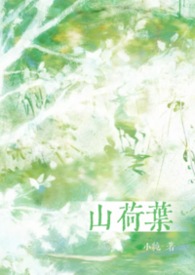 山荷叶花花语